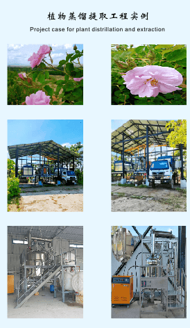 植物蒸馏工程实例2.png